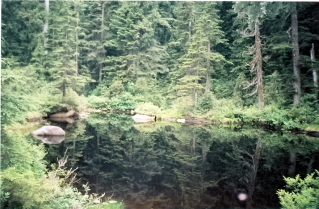 Passing a small lake, on the trail to Lindsay Lake 2003-07.